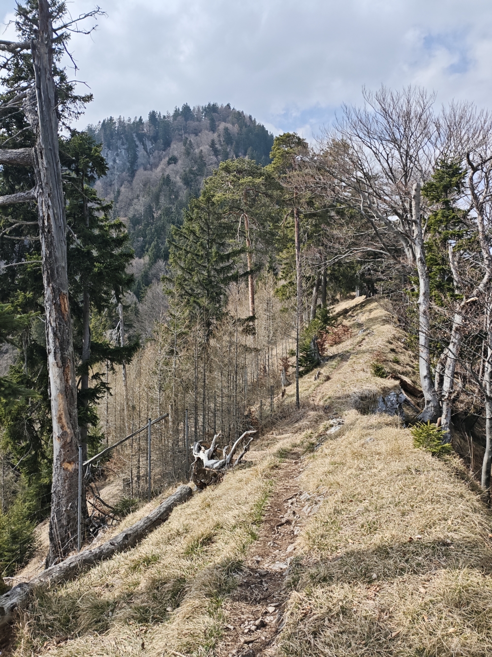 Wanderung Fuderheustein: Flachpassage zum Geißaibl