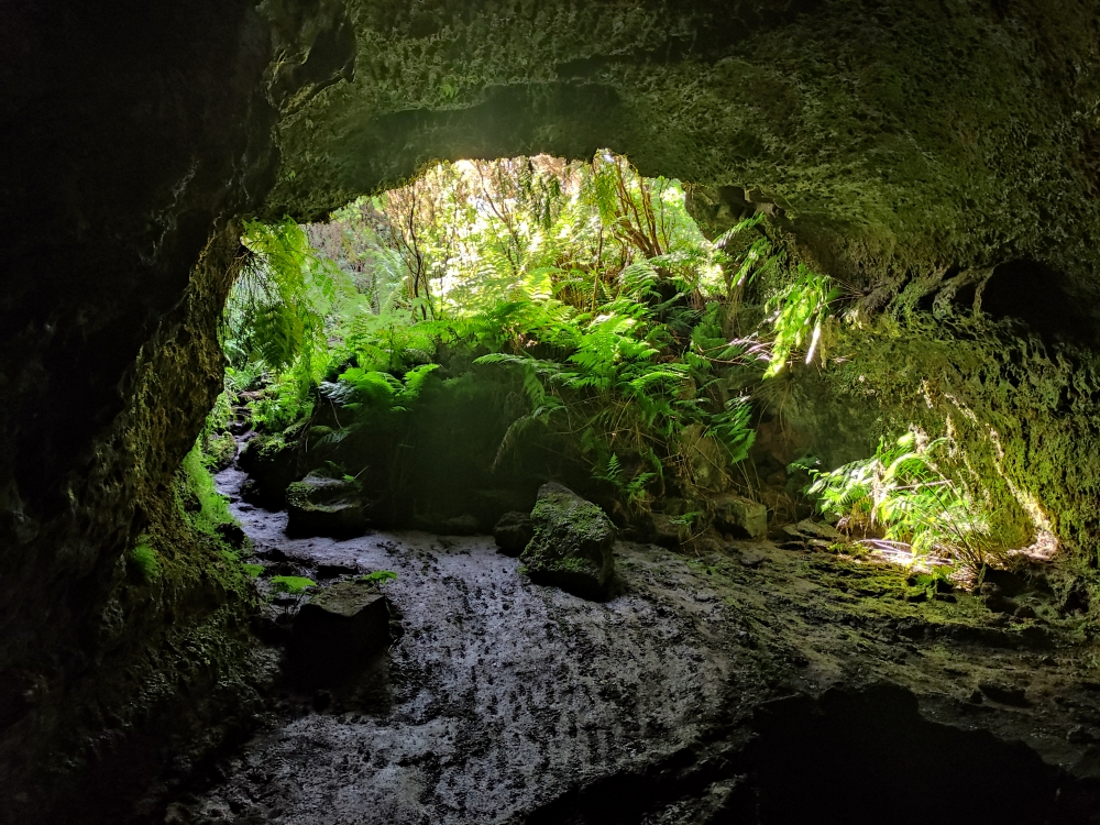 Wanderung Furna do Frei Matias: Blick zum Ausgang