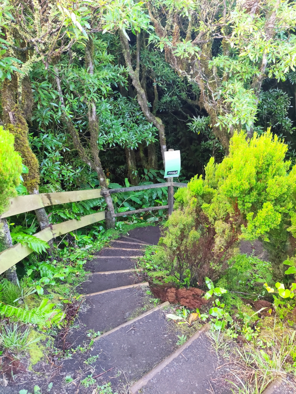 Wanderung Cabeco Verde: Wanderung Cabeco Verde: Der 55m tiefe Schlund (Furna Ruim)