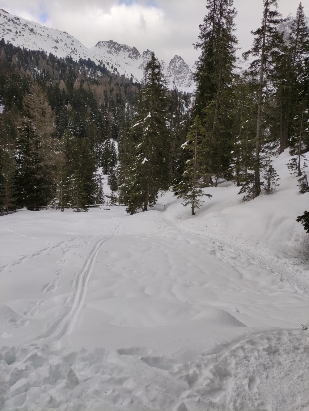 Wanderung Gampen Alm: Adolf-Munkel-Weg