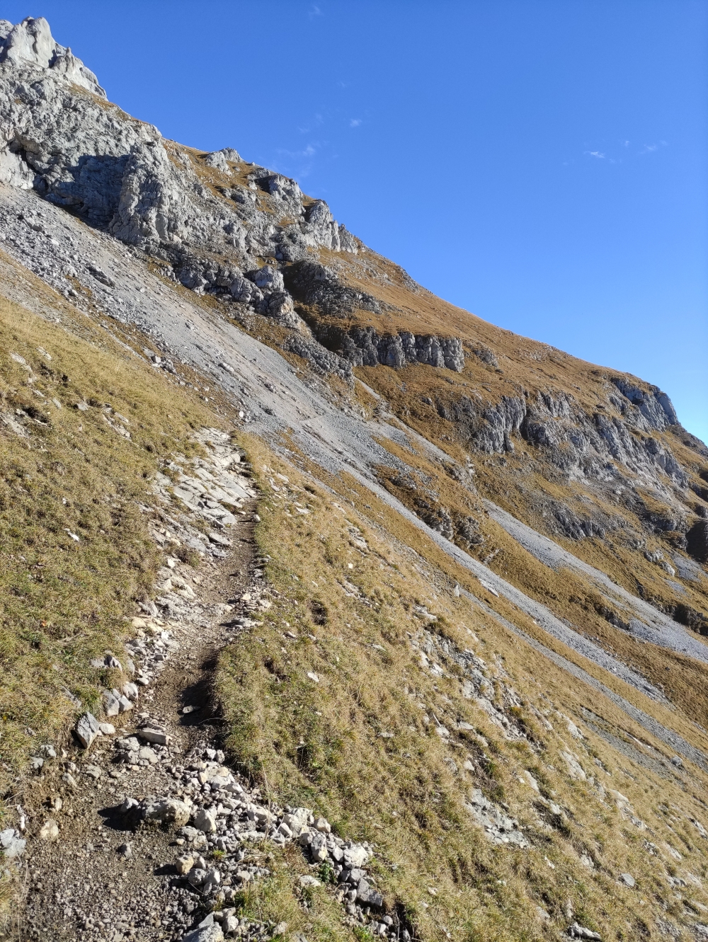 Wanderung Gamsjoch Westgipfel: Vom Sattel weiter zum Gipfel