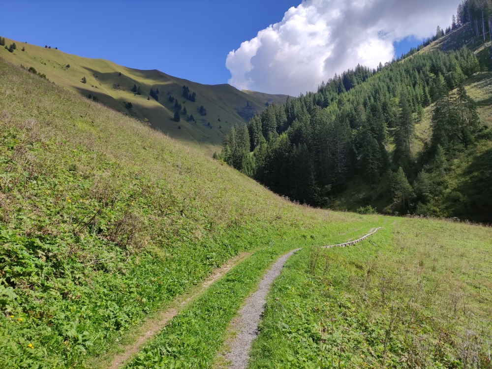 Wanderung Bleispitze: Start des Weges ins Weitbachtal bei Bichlbächle