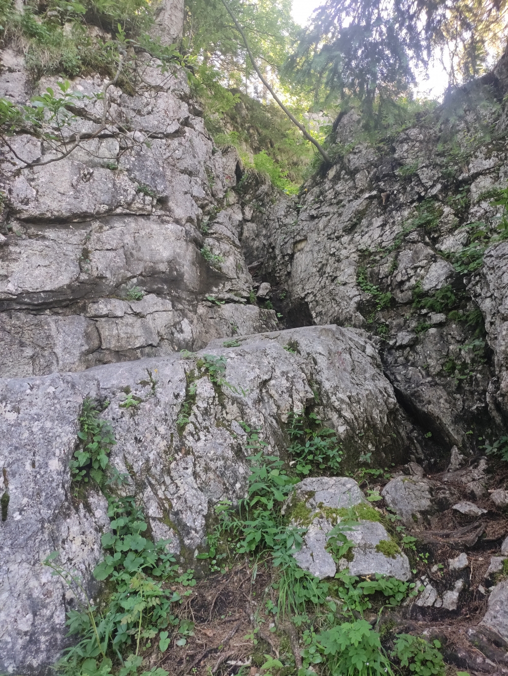 Wanderung Gederer Wand: Der Felsdurchschlupf