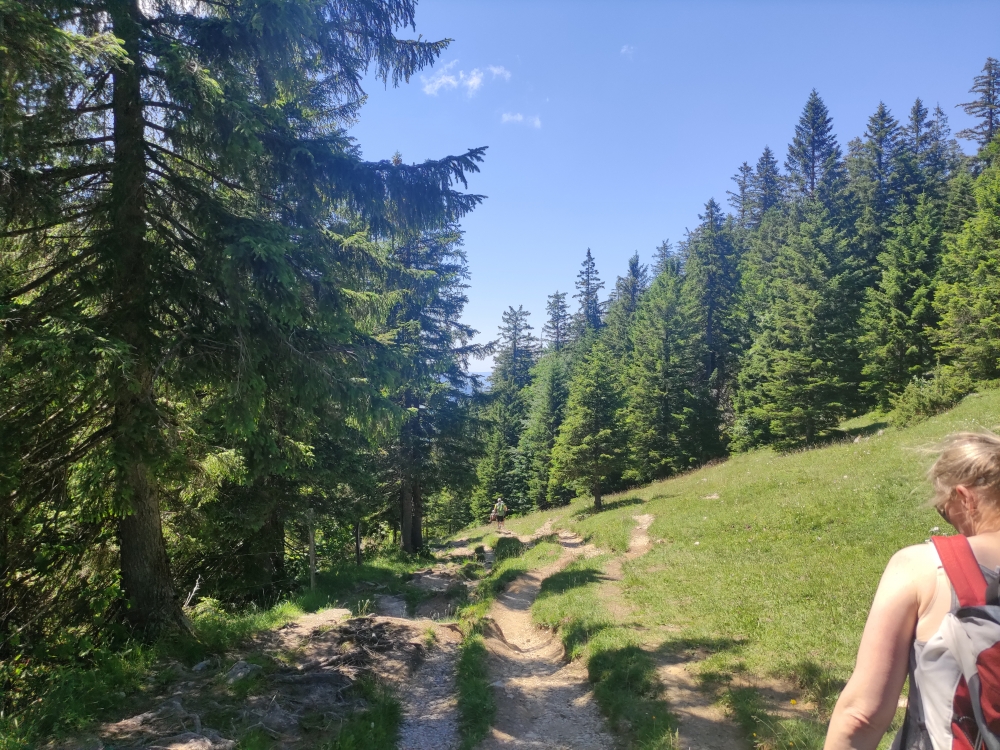 Wanderung Gederer Wand: Vom Rossboden zurück zum Parkplatz