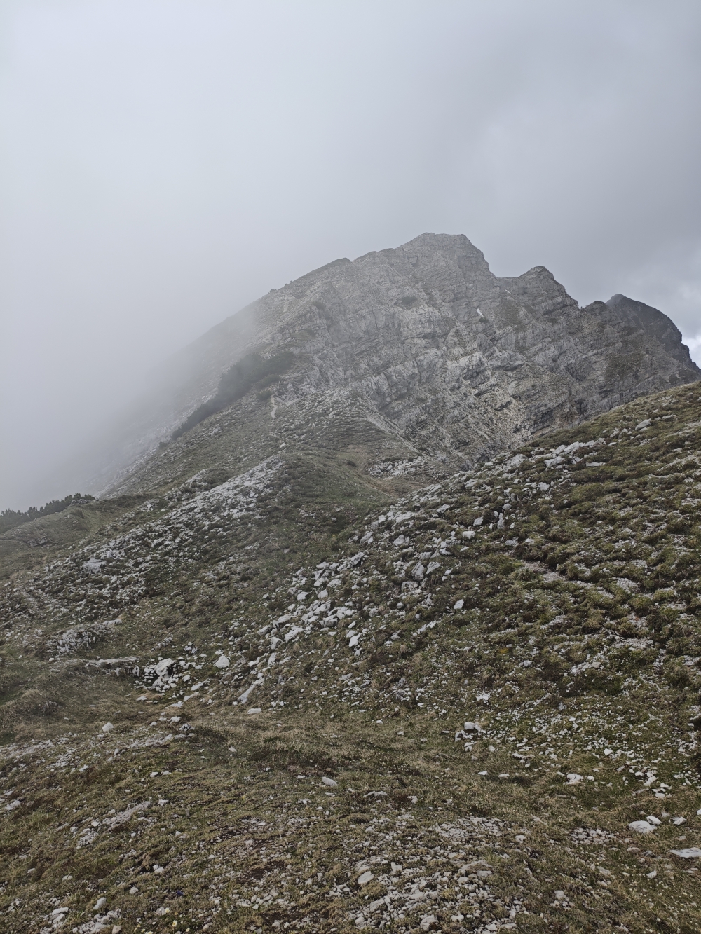 Wanderung Geierköpfe-Hauptgipfel: Aufstieg zur Hauptgipfel 