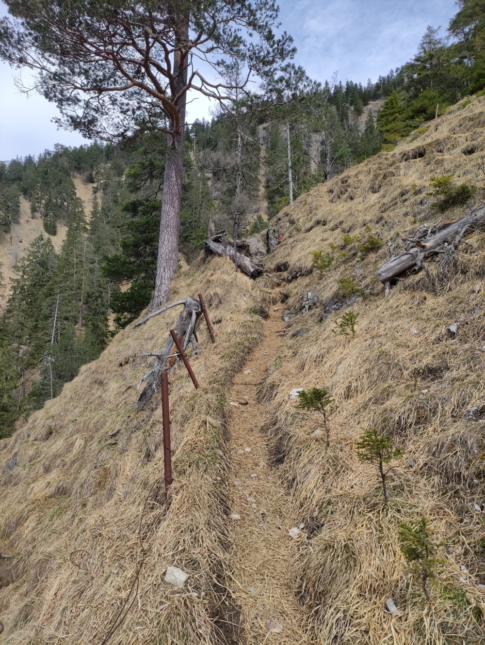 Wanderung Geierköpfe-Westgipfel: südseitiger Steig