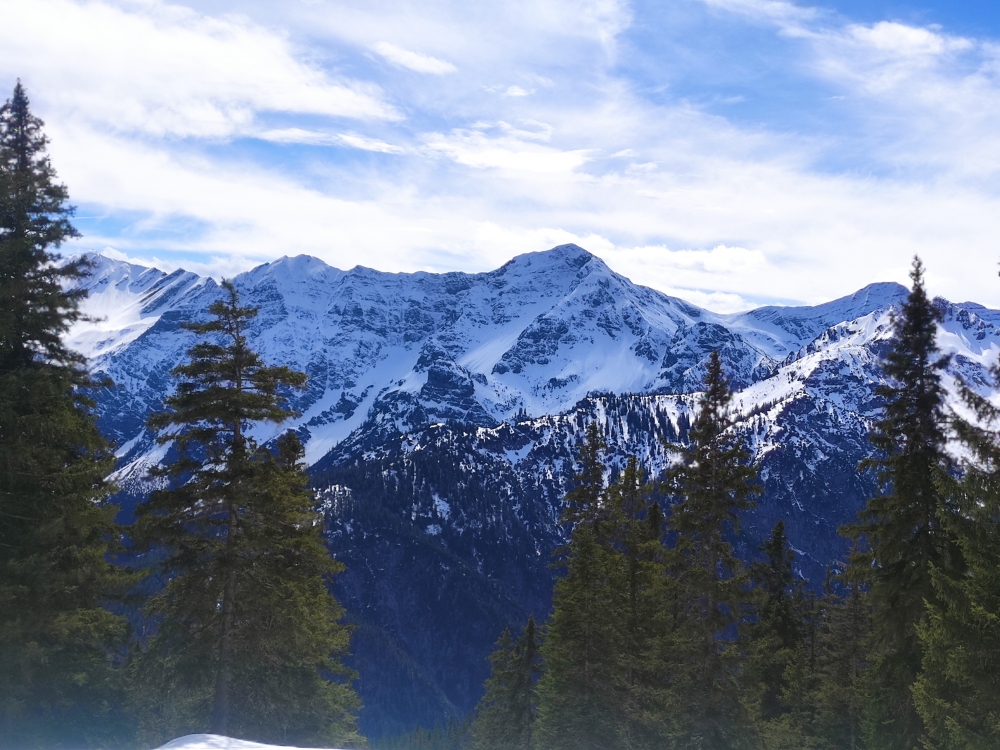 Wanderung Geierköpfe-Westgipfel: Zugspitz-Blick auf den letzten Metern zum Gipfel