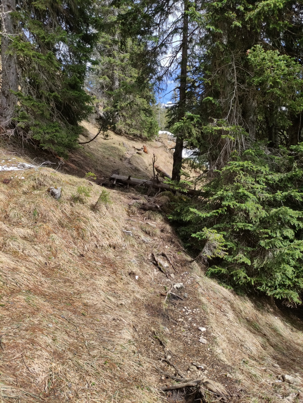 Wanderung Geierköpfe-Westgipfel: Wanderweg