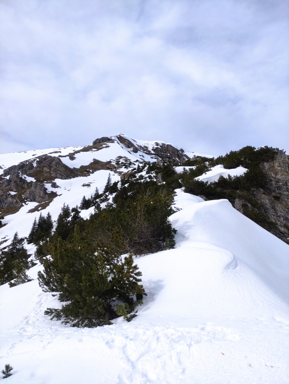 Wanderung Geierköpfe-Westgipfel: Das Gipfelkreuz ist schon zu sehen