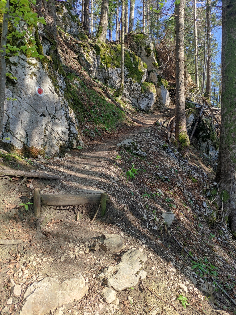 Wanderung Geierstein: Wanderweg