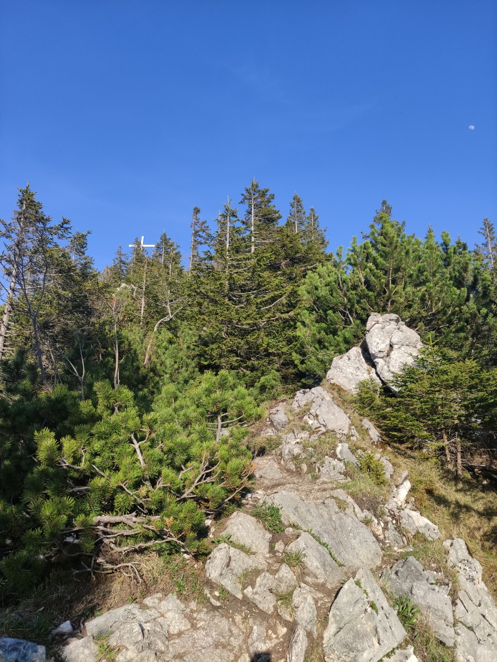 Wanderung Geierstein: Die letzten Meter zum Gipfel