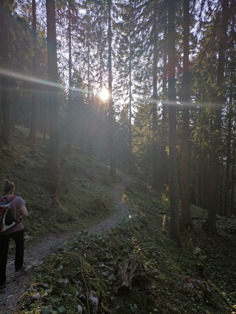 Wanderung Geierstein: Der längere aber leichtere Weg auf den Geierstein
