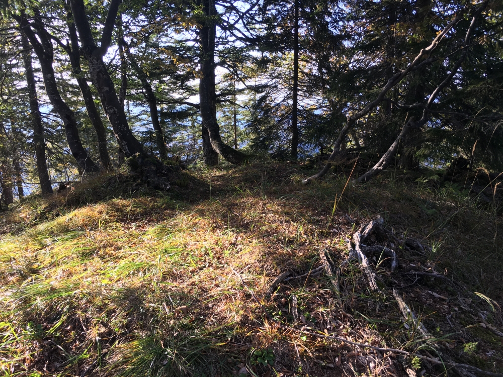 Wanderung Hochalm mit Kammweg: Wanderung Hochalm mit Kammweg: Unspektakulärer Gipfel (Geißkopf)