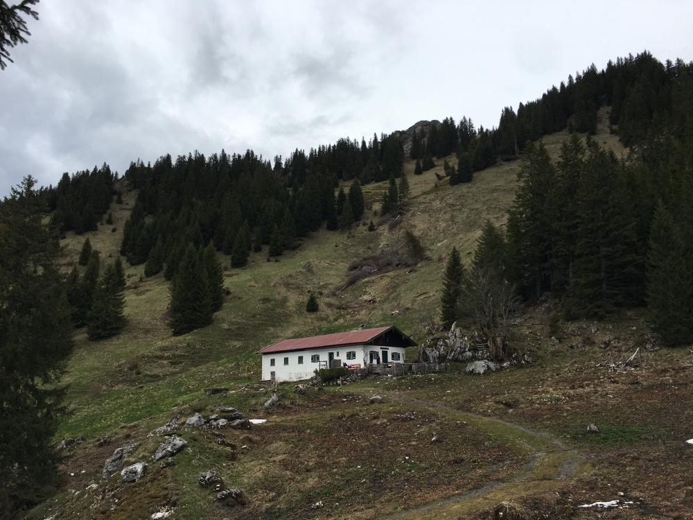 Wanderung Hasenpoint: Wanderung Hasenpoint: Gernalm