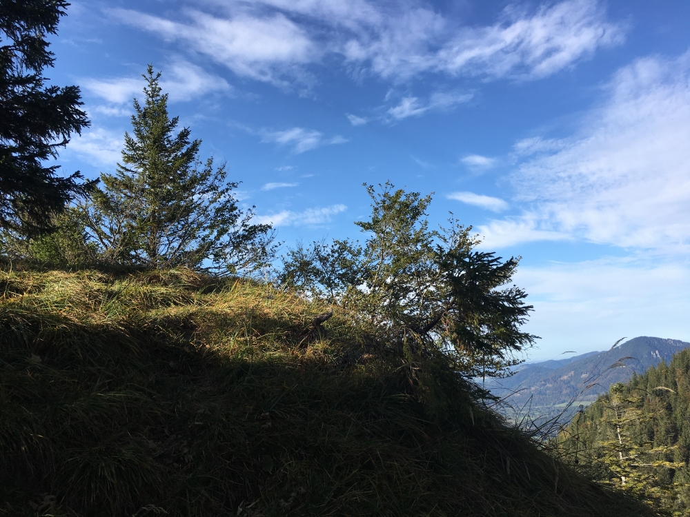 Wanderung Hochalm mit Kammweg: Wanderung Hochalm mit Kammweg: Unspektakulärer Gipfel (Gerstenrieder Kopf)