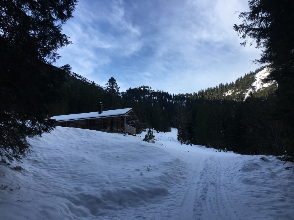 Wanderung Notkarspitze: Wanderung Notkarspitze: Roßalm (Gießenbachalm)