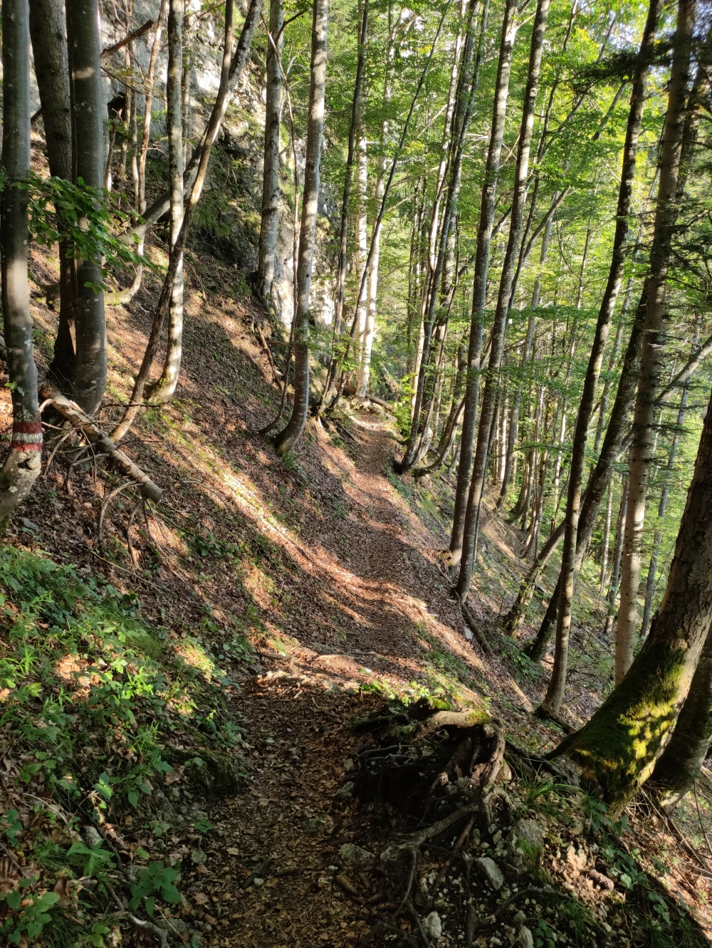 Wanderung Gmailkapelle: Abstecher zur Lourdes Grotte