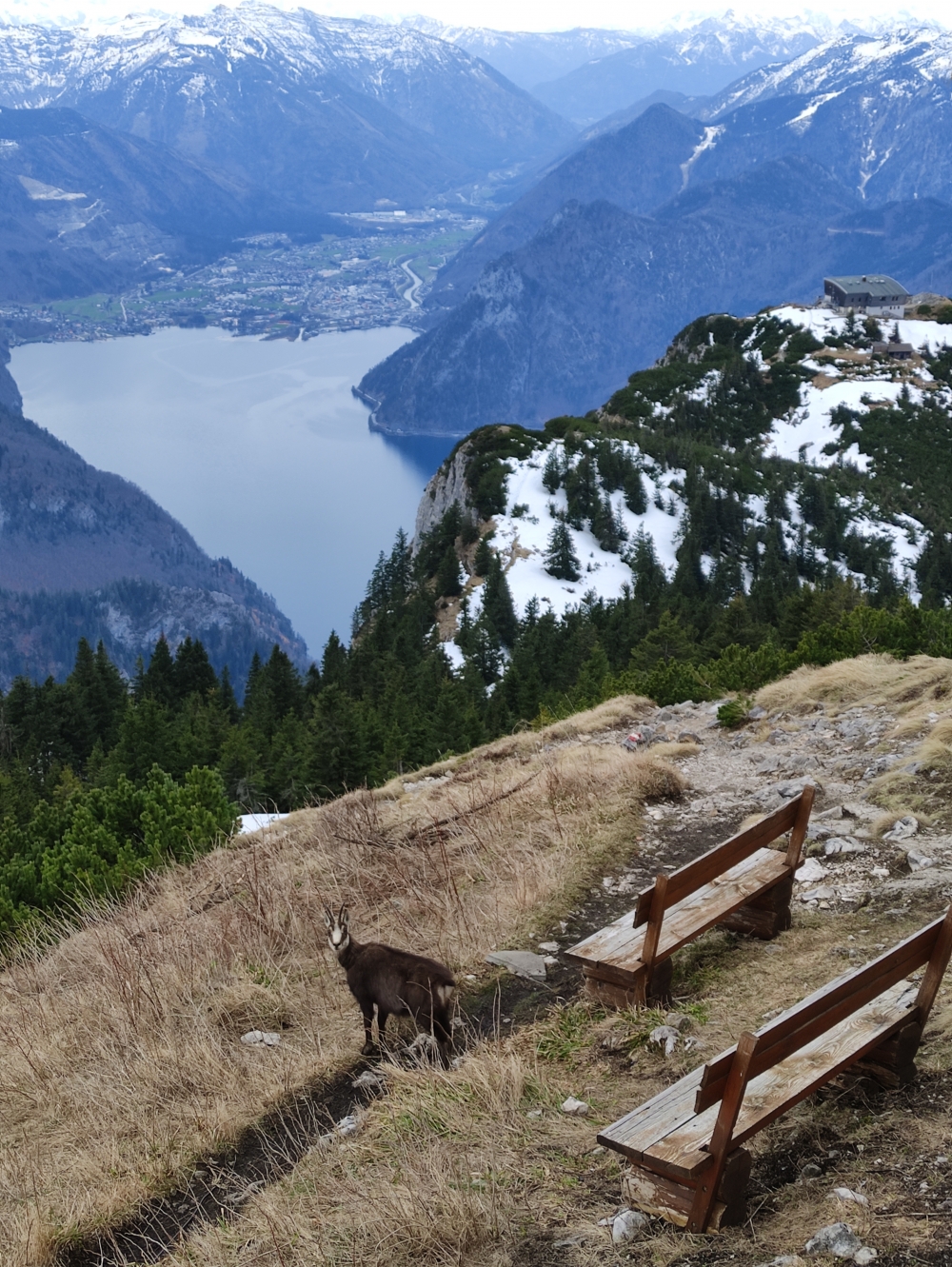 Wanderung Traunstein: Wanderung Traunstein: Blick nach Ebensee am Traunsee (Gmundner Hütte)