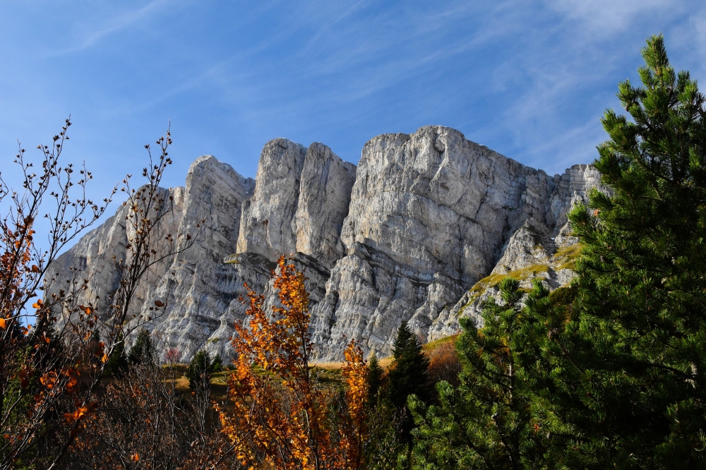 Grand Veymont: Grand Veymont