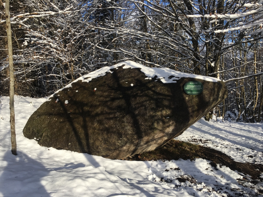 Wanderung Wildbarren von Niederaudorf: Wanderung Wildbarren von Niederaudorf: Naturdenkmal Grauer Stein