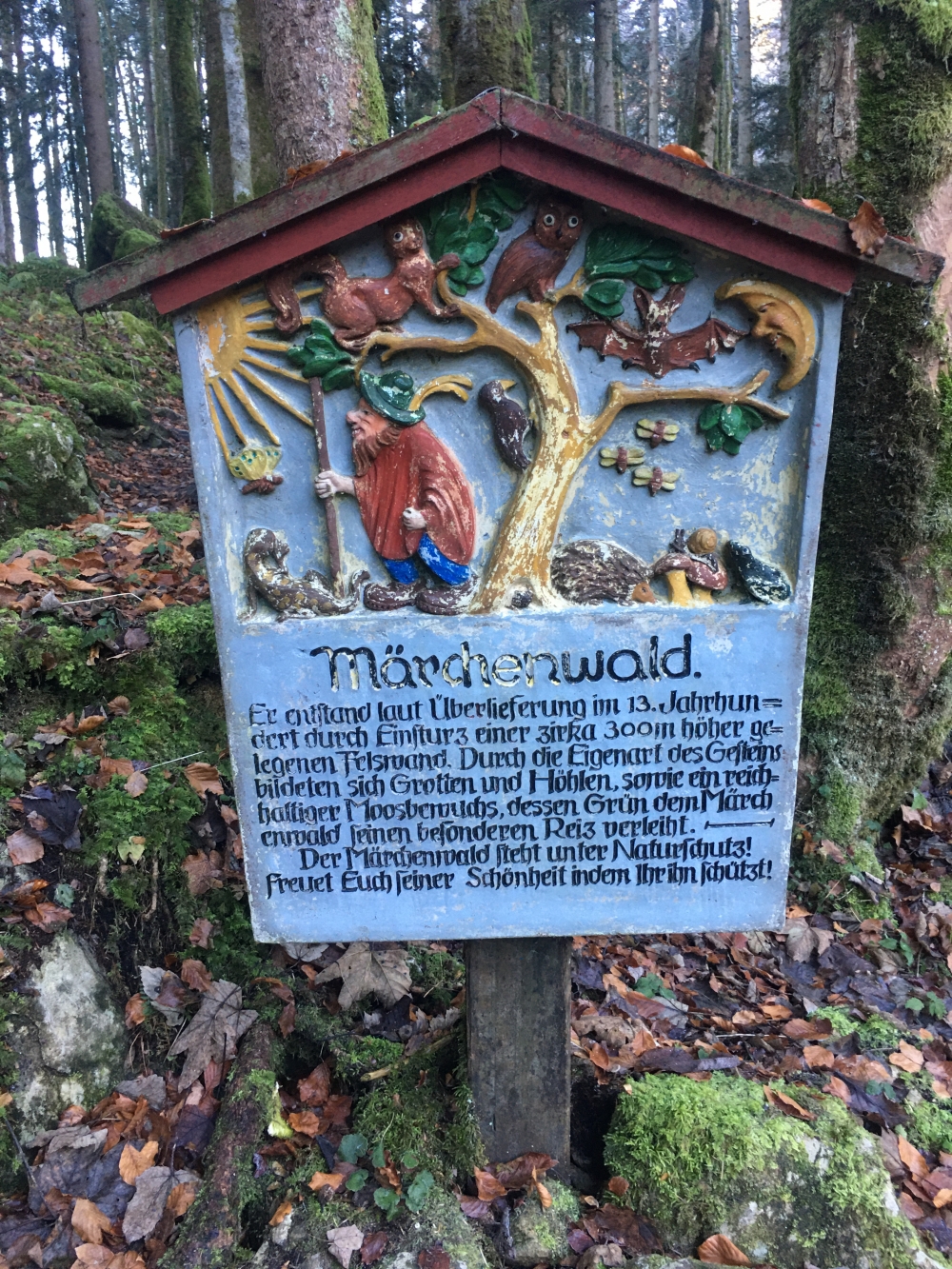 Wanderung Gröhrkopf: Durch den Märchenwald