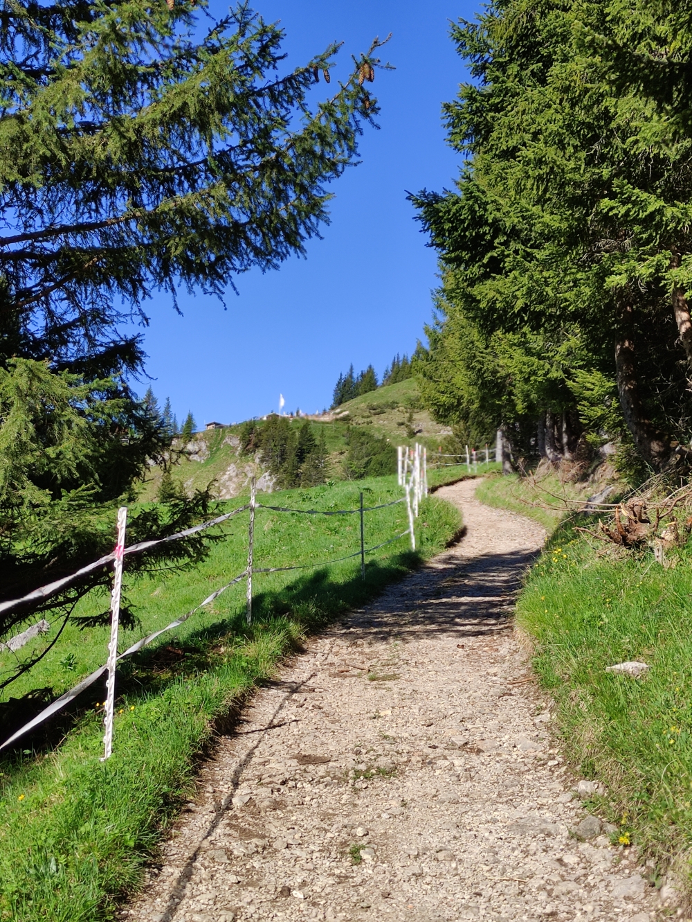 Wanderung Große Klammspitz: Die Hütte schon in Sicht