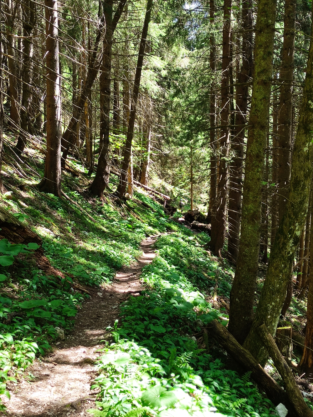 Wanderung Große Klammspitz: Sägertal