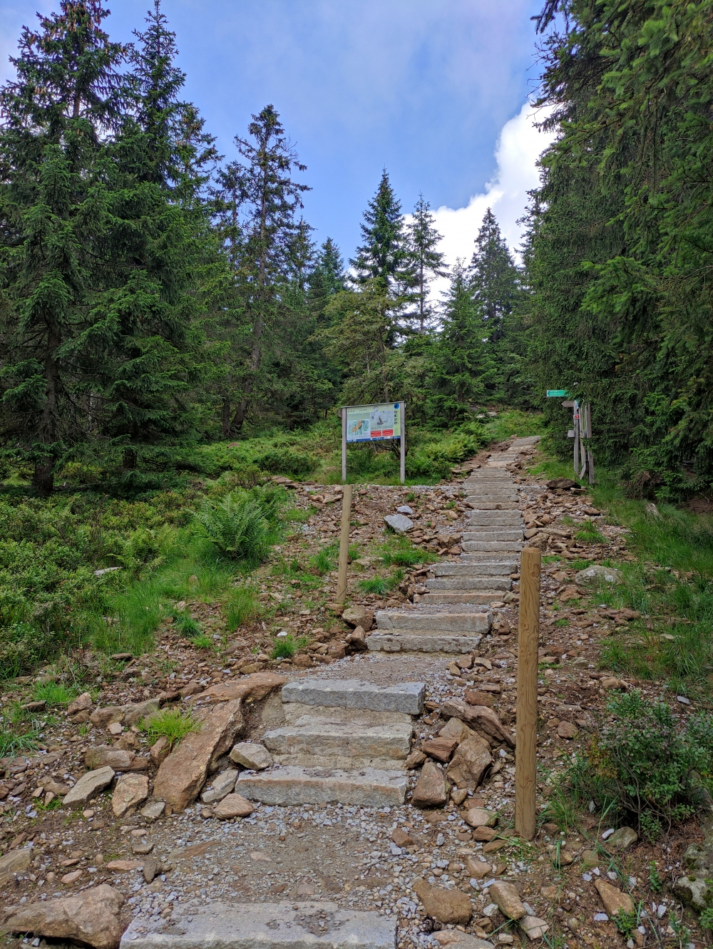 Wanderung Großer Arber: Treppen zum Gipfelplateau