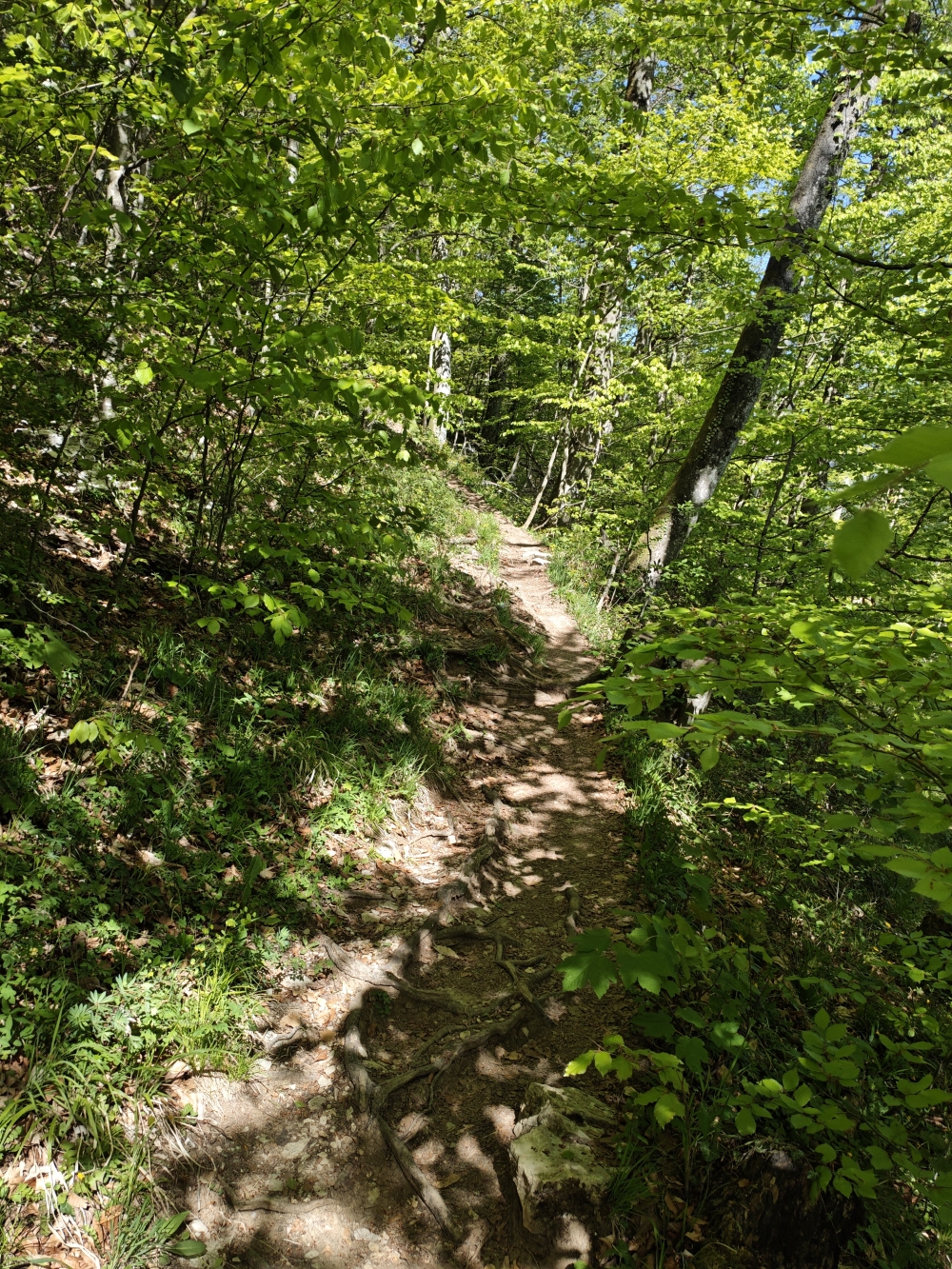 Wanderung Großer Barmstein: Bürgermeister-Alois-Oedl-Steig