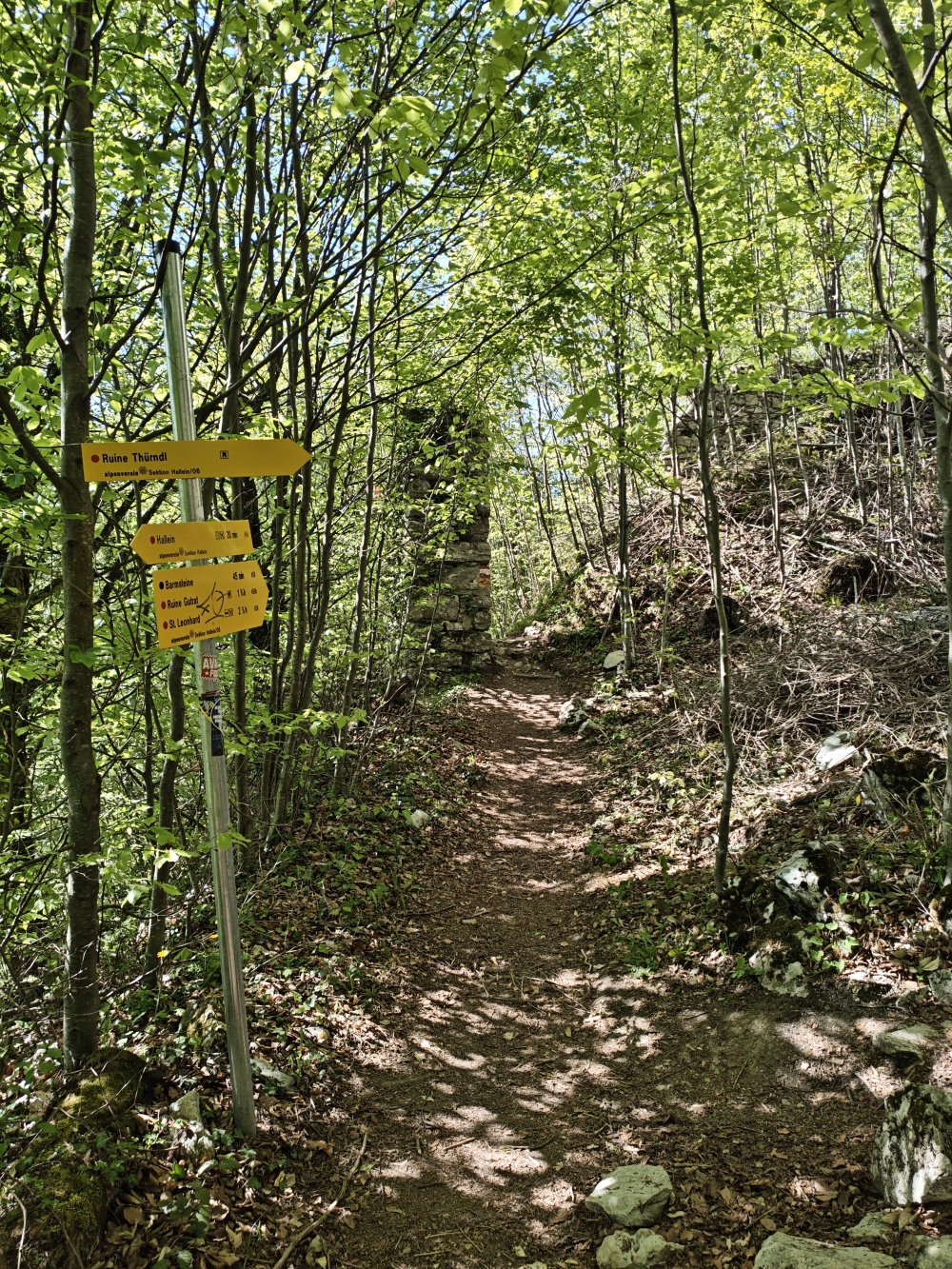 Wanderung Großer Barmstein: Kurz vor der Ruine