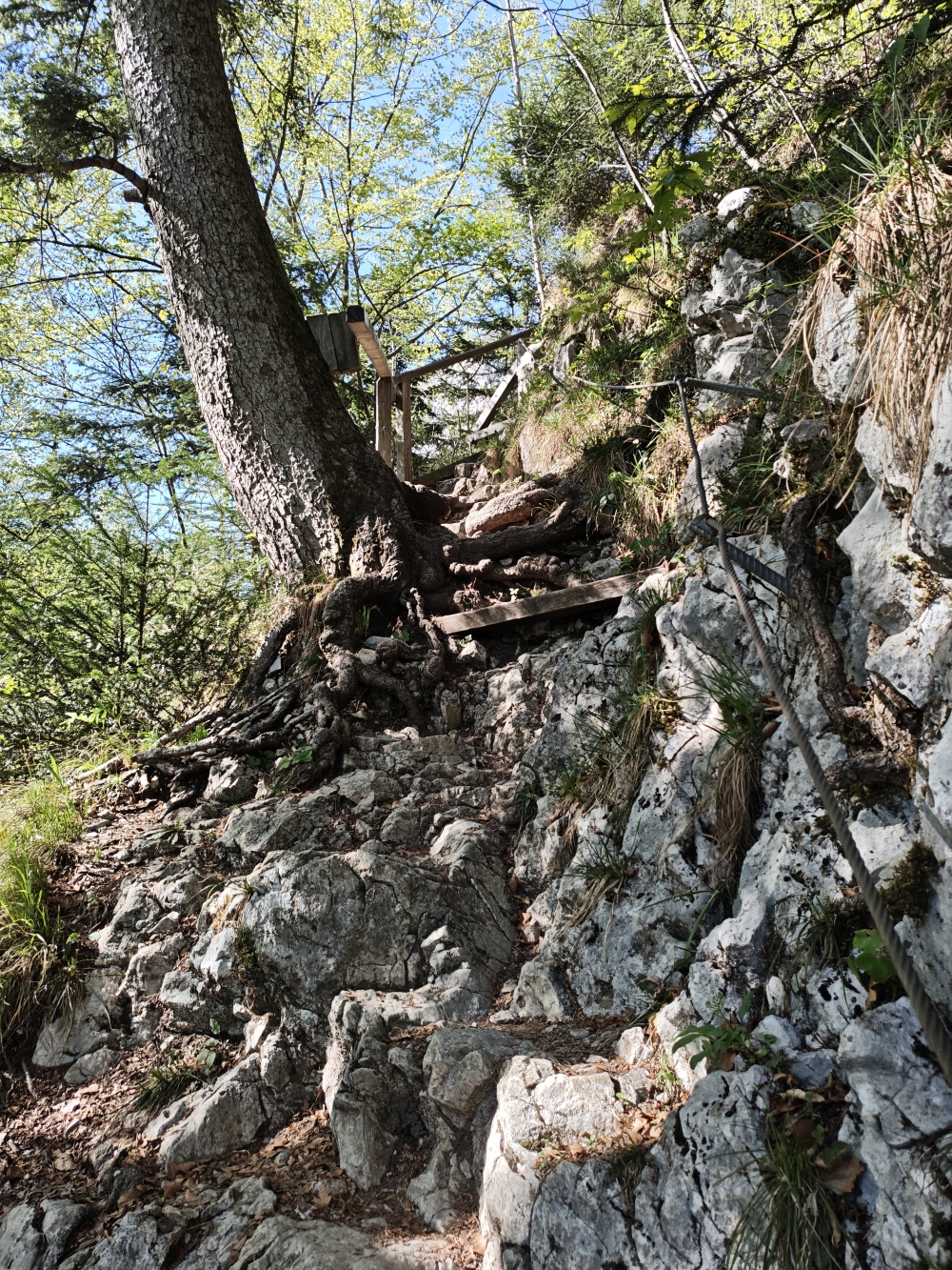 Wanderung Großer Barmstein: Stufen, Geländer und Seile