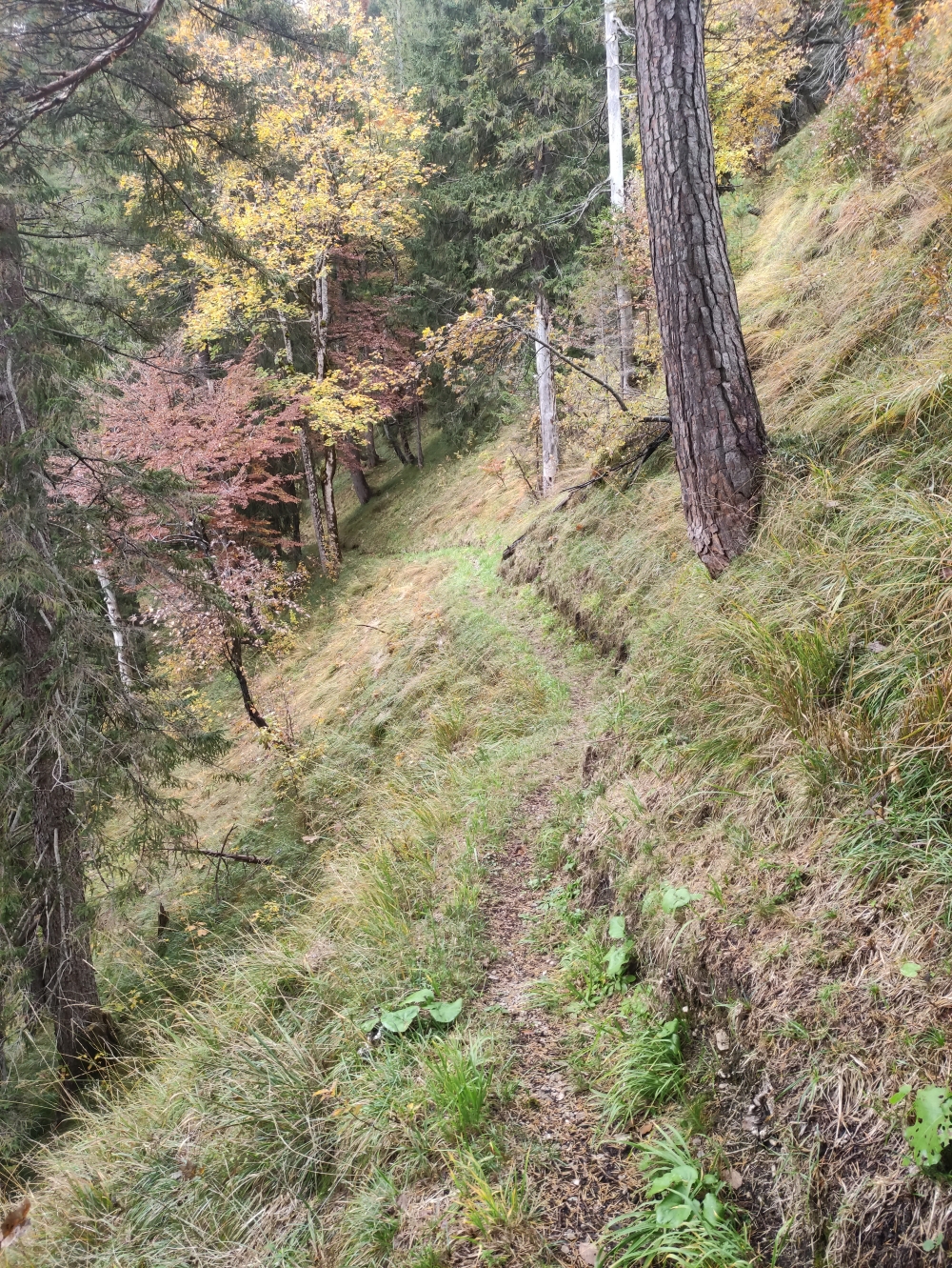 Wanderung Großer Laber: Schöne alte Wege
