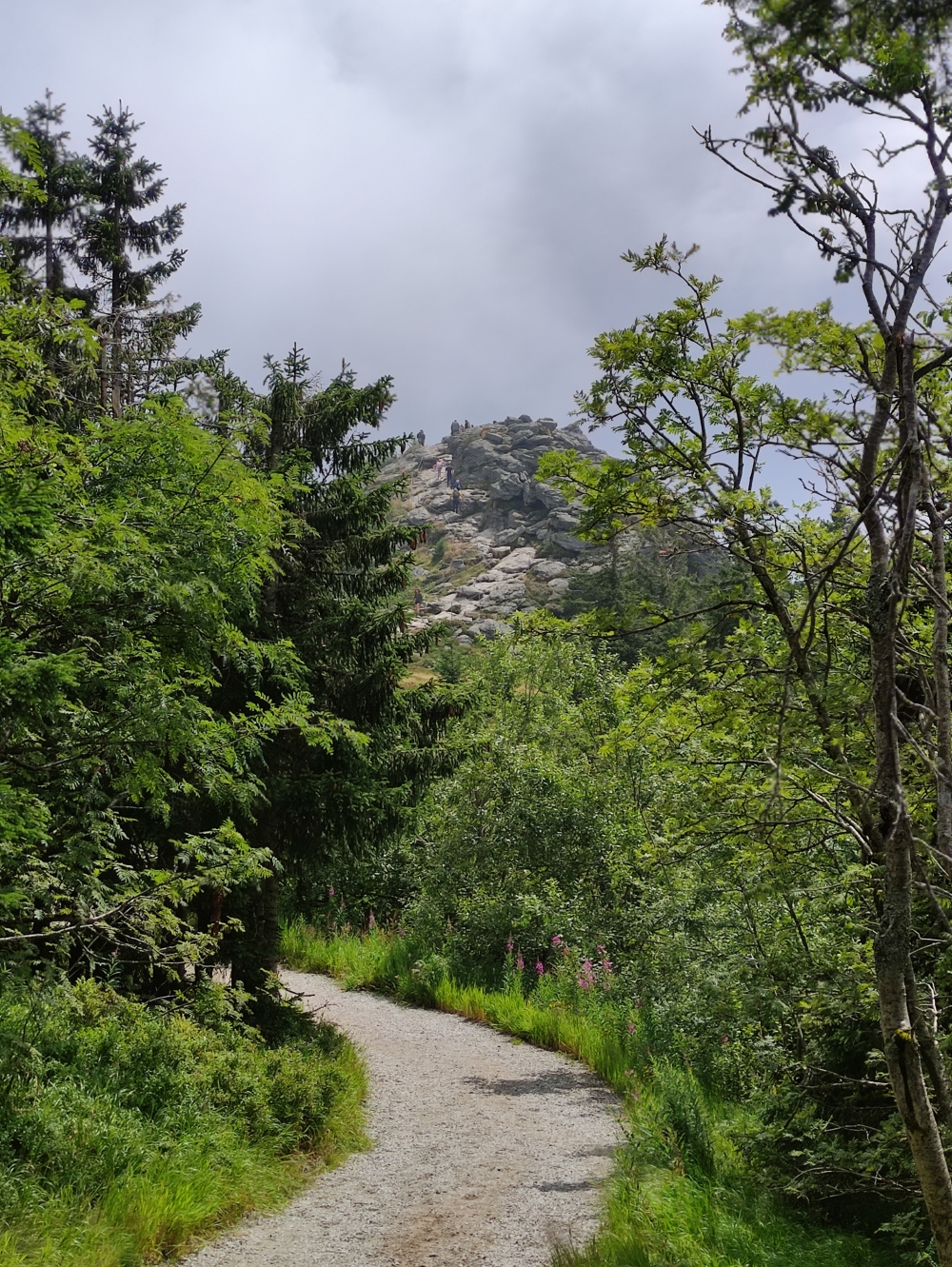 Wanderung Großer Arber: Wanderung Großer Arber: Großer Seeriegel