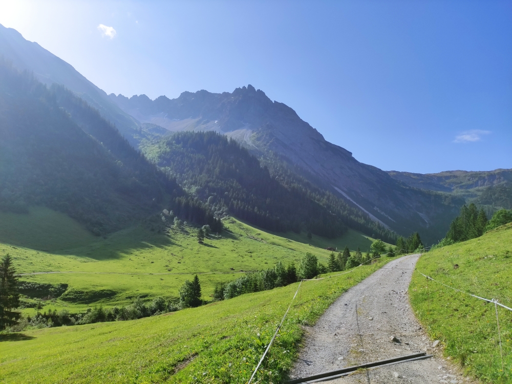 Wanderung Großer Widderstein: Gemsteltal mit Geißhorn und der Alpe Gemstel-Schönesboden
