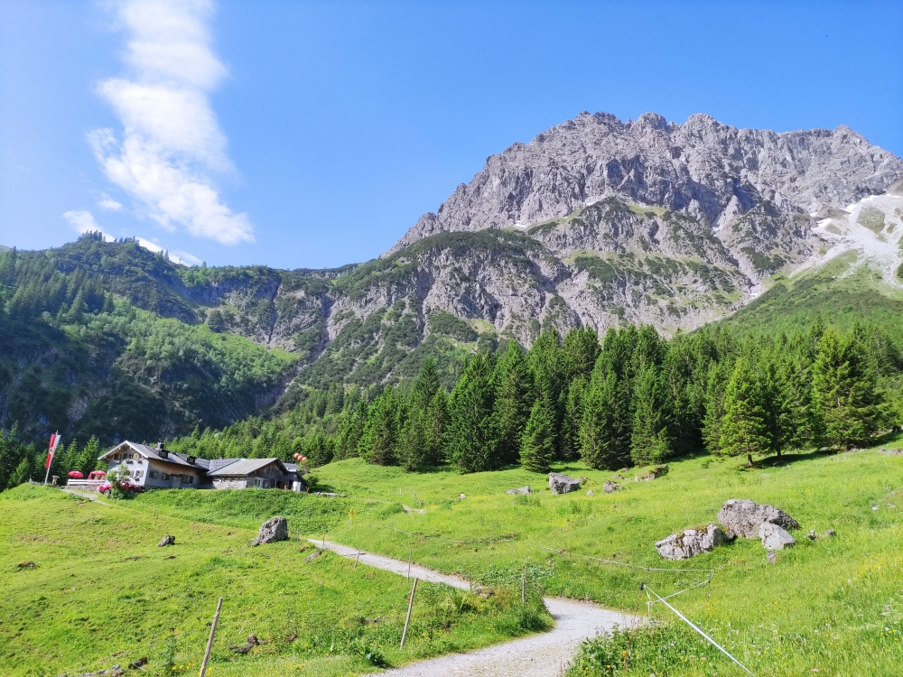 Wanderung Großer Widderstein: Im Gemsteltal