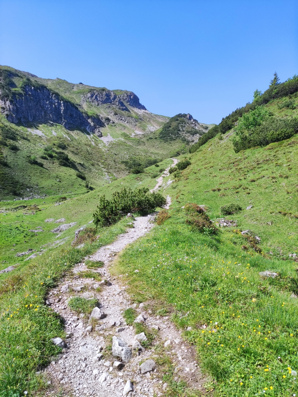Wanderung Großer Widderstein: Zum Gemstelpass