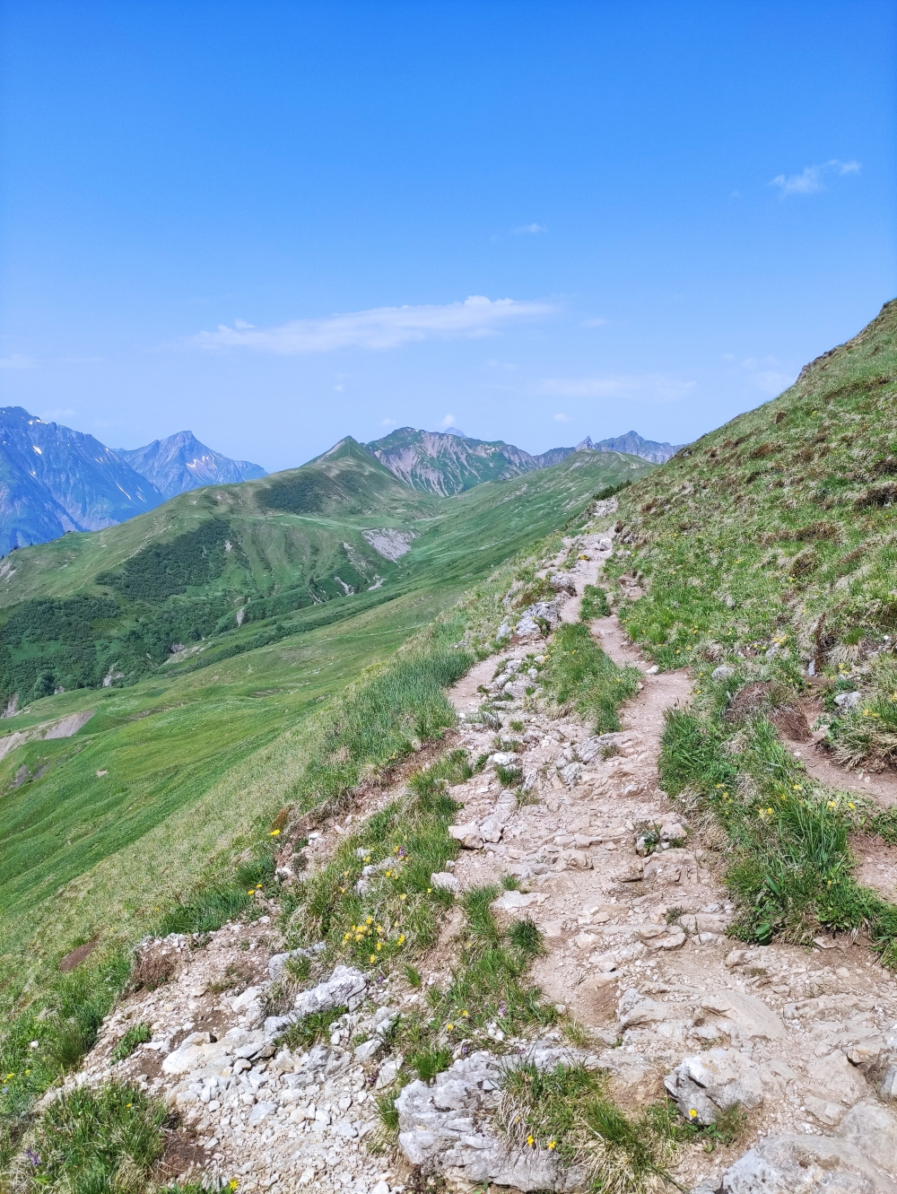Wanderung Großer Widderstein: Weg