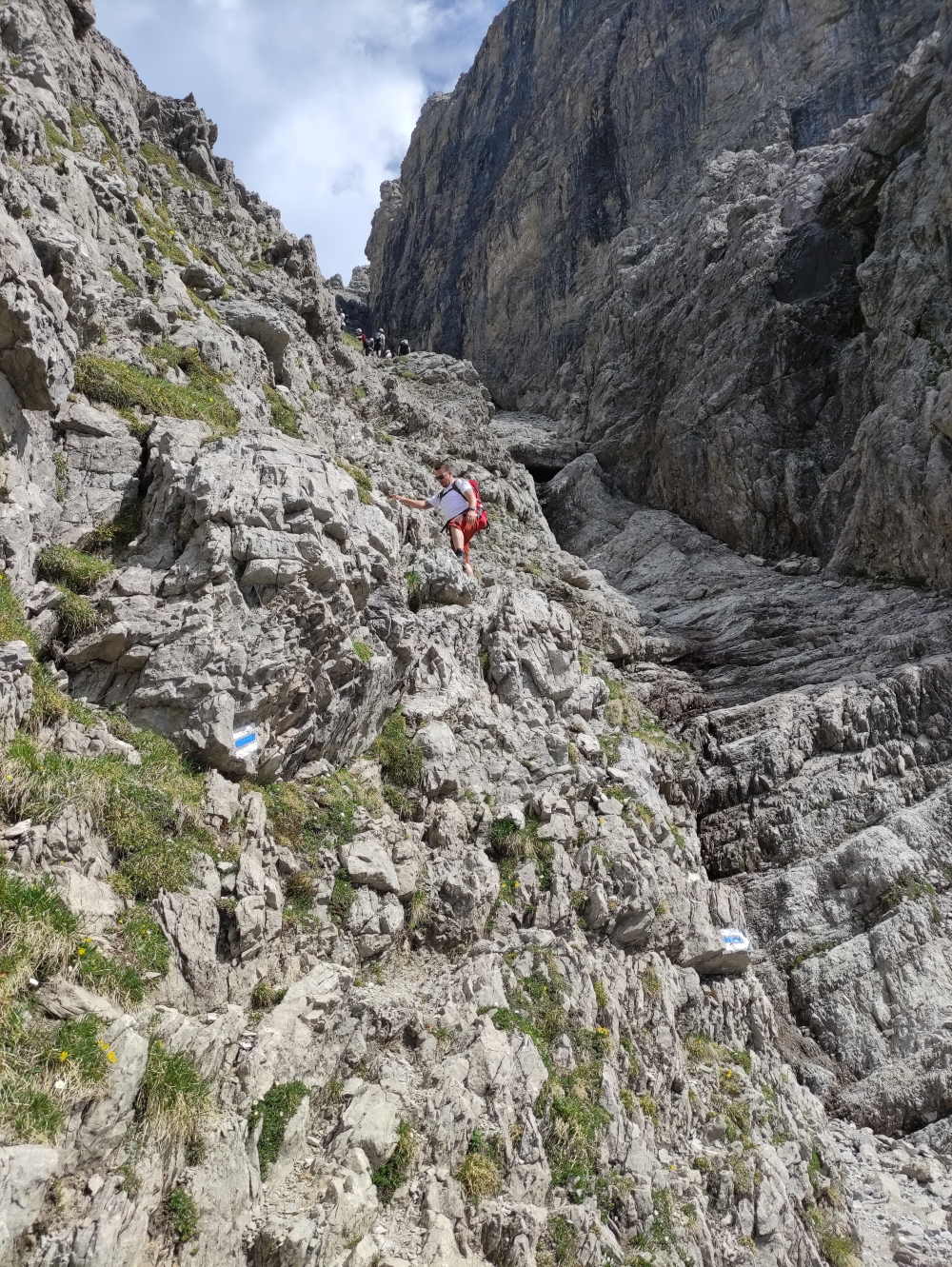 Wanderung Großer Widderstein: Weglos aber gut markiert