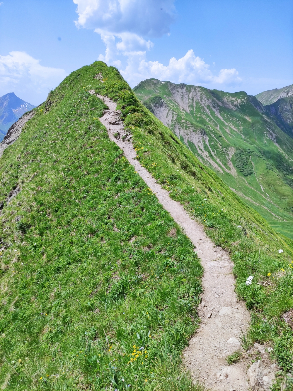 Wanderung Großer Widderstein: Kammweg