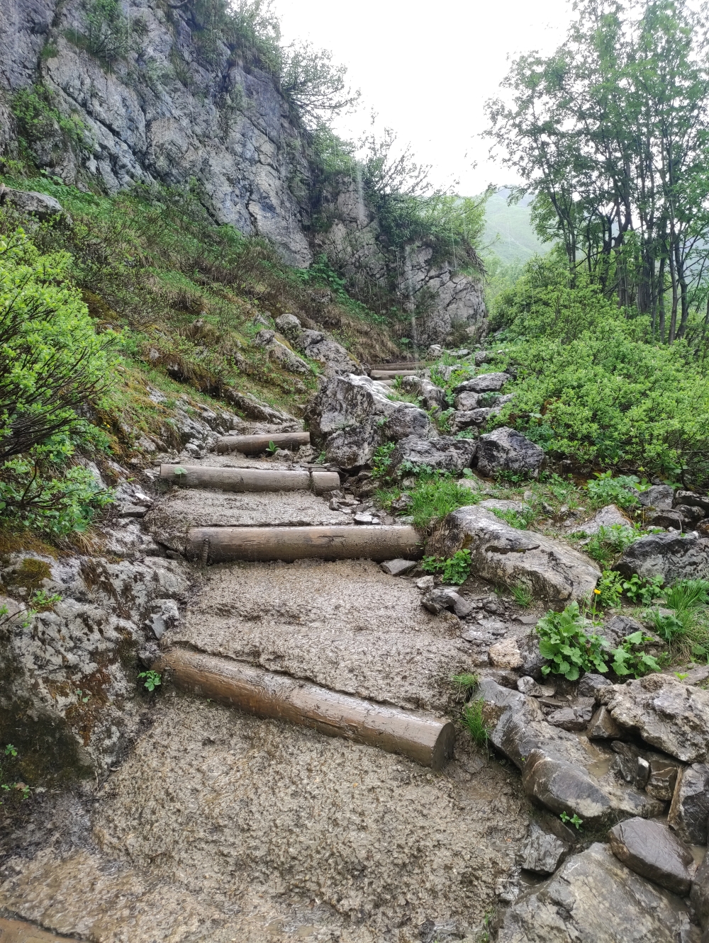 Wanderung Großer Widderstein: Im oberen Bärgunttal