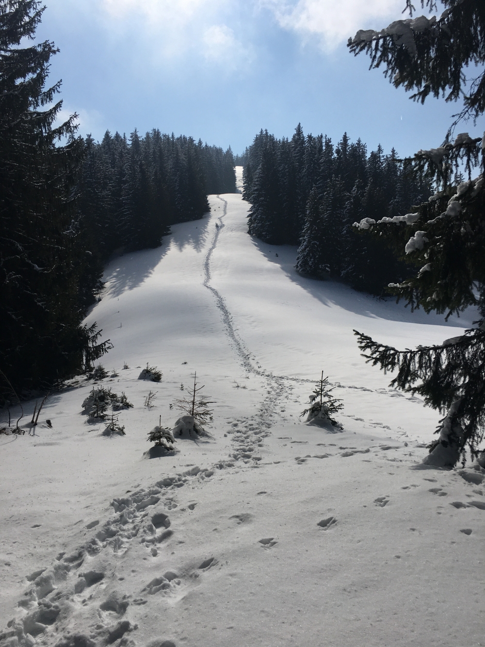 Wanderung Großer Aufacker: Über die breite Schneise am Grat