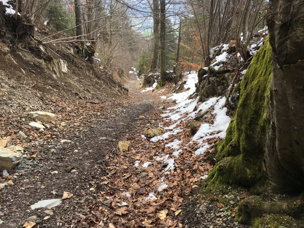 Wanderung Großer Aufacker: Im unteren Teil über einen alten Hohlweg