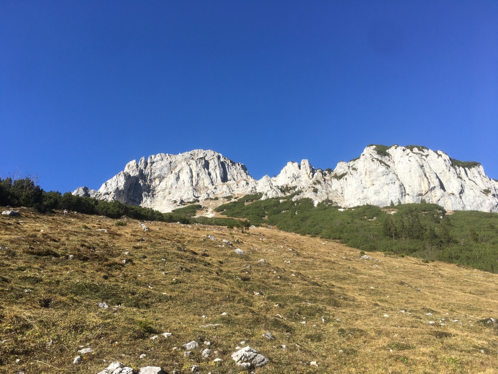 Wanderung Großer Roßkaiser: Durch diese Grasrinne geht es zum Großen und Kleinen Roßkaiser