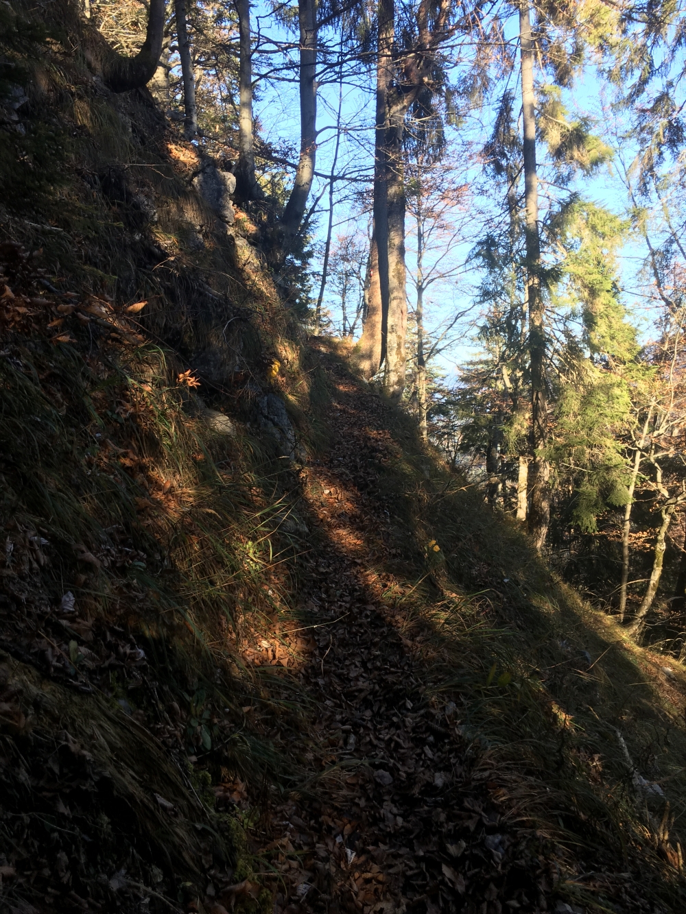 Wanderung Kleiner Roßkaiser: Wanderung Kleiner Roßkaiser: Herbststimmung