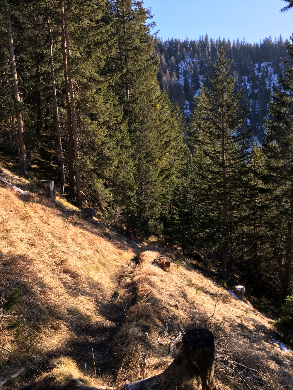 Wanderung Großer Solstein: Pletzensteig