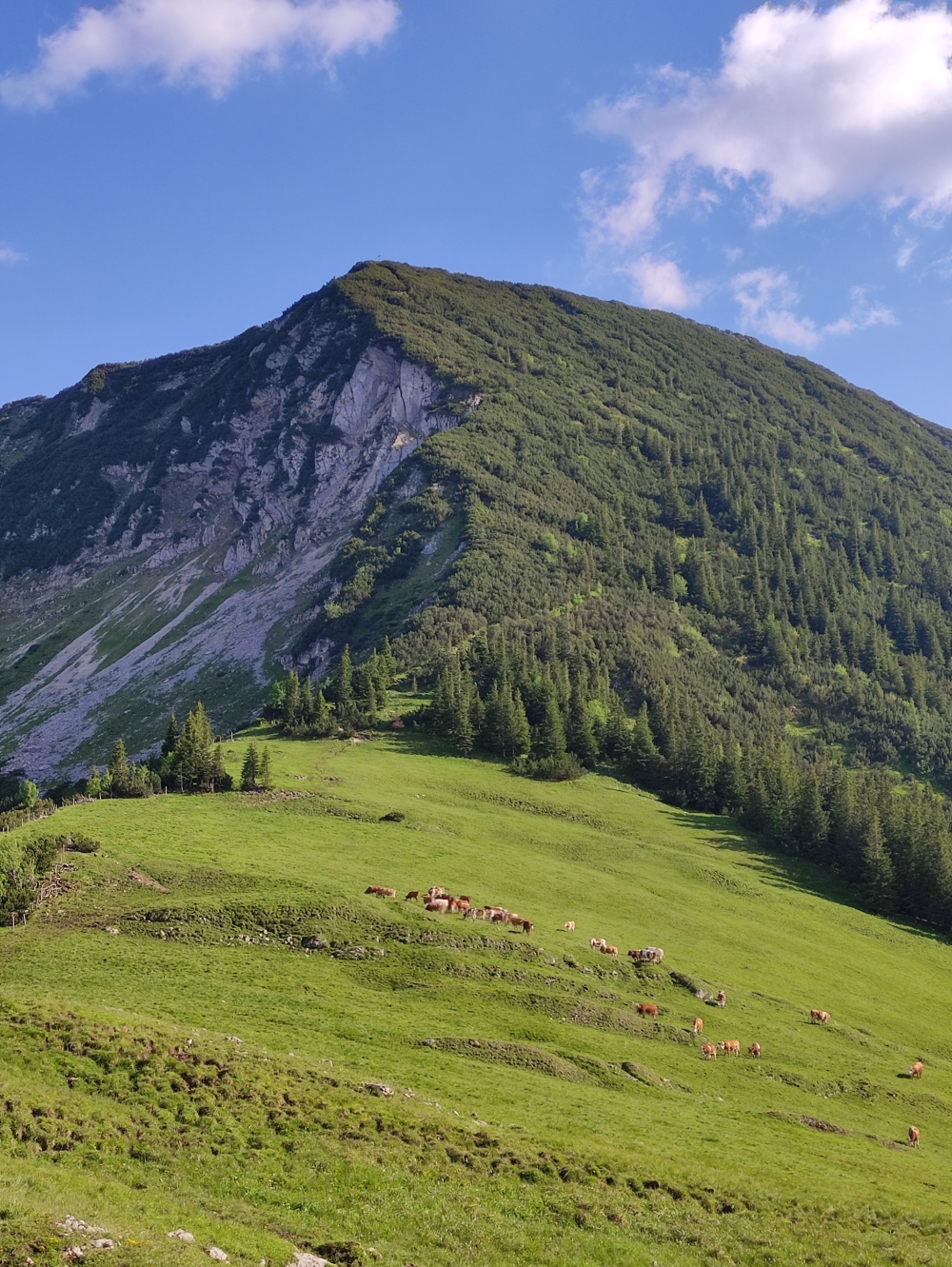 Wanderung Großer Traithen: Der Weg über den Fellalm-Sattel zum Großen Traithen
