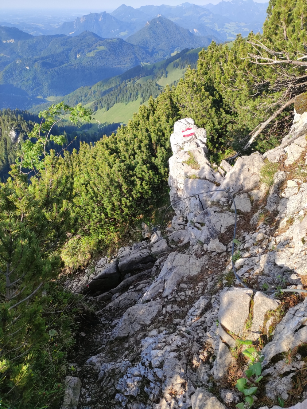 Wanderung Großer Traithen mit Steilnerjoch: Ein Stahlseil hilft beim Kraxeln auf dem nordseitigen Weg zum Sattel
