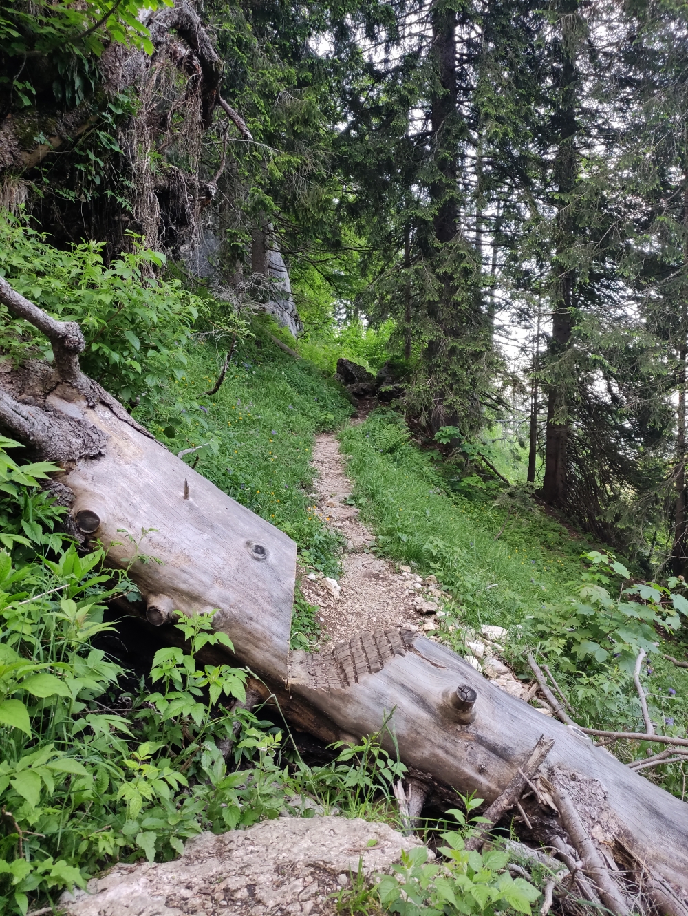 Wanderung Großer Traithen mit Steilnerjoch: Kurz vor dem Oberen Sudelfeld