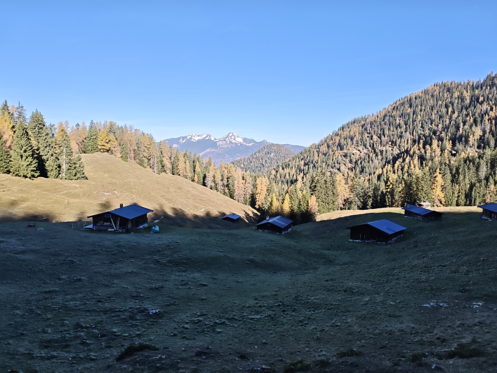 Wanderung Grosses Hundshorn: An der Scheffsnother Alm mit Blick zum Sonntagshorn