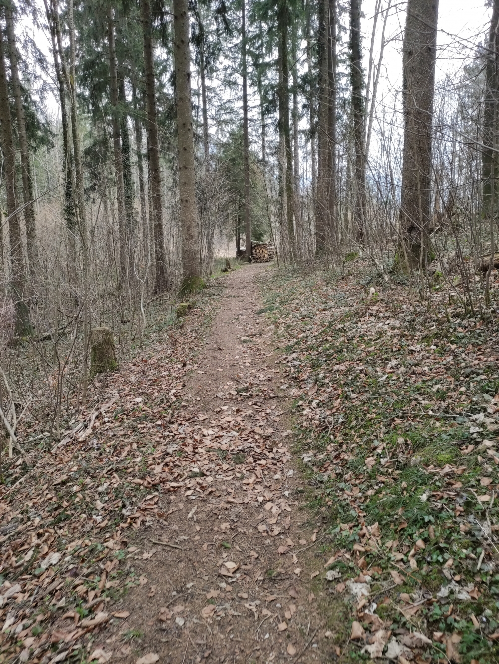Wanderung Großstaffen: Wer sich die Teerstraße sparen will findet hier eine schöne Alternative 